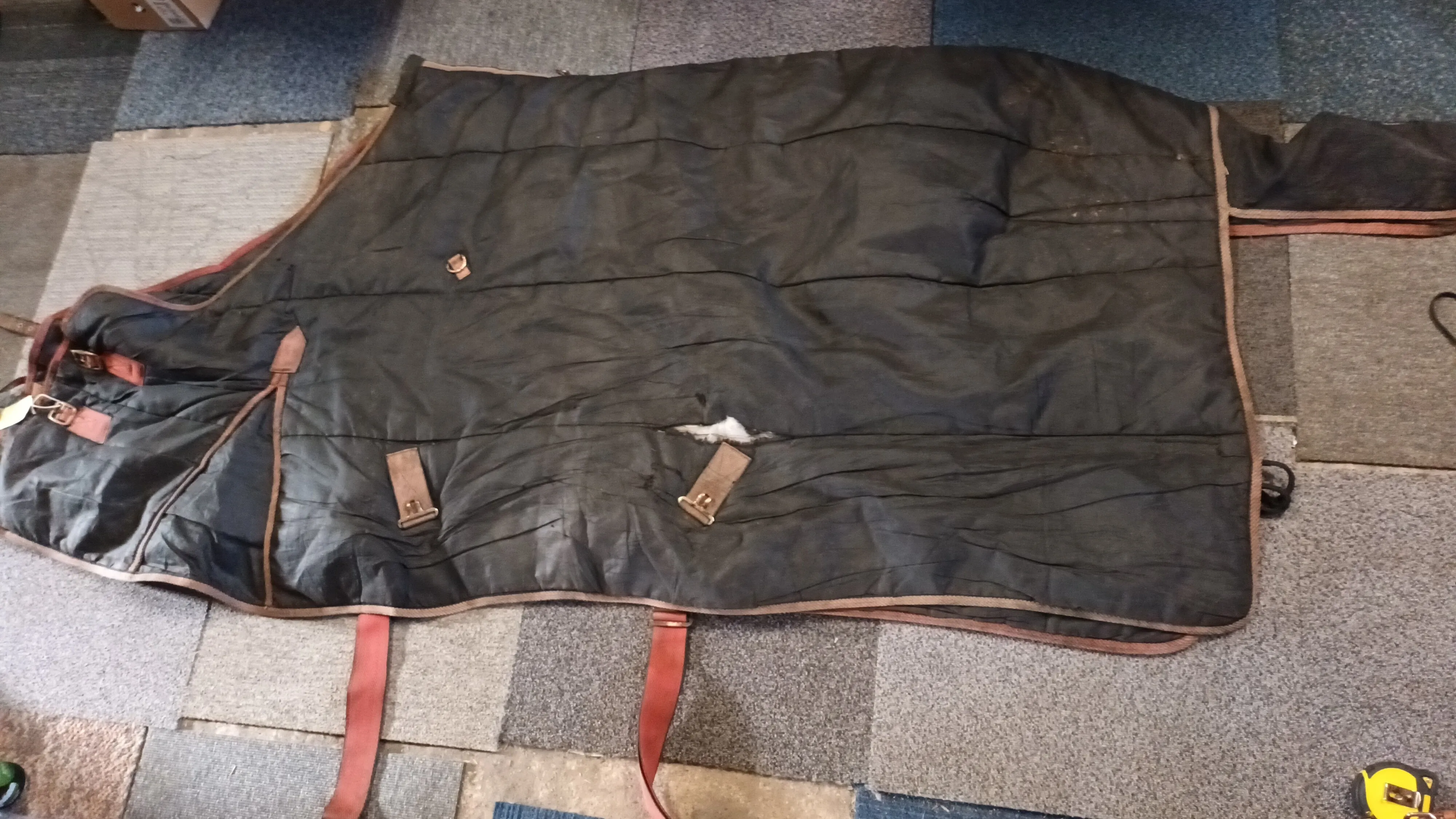 6'0, 100g, stable rug, few tears