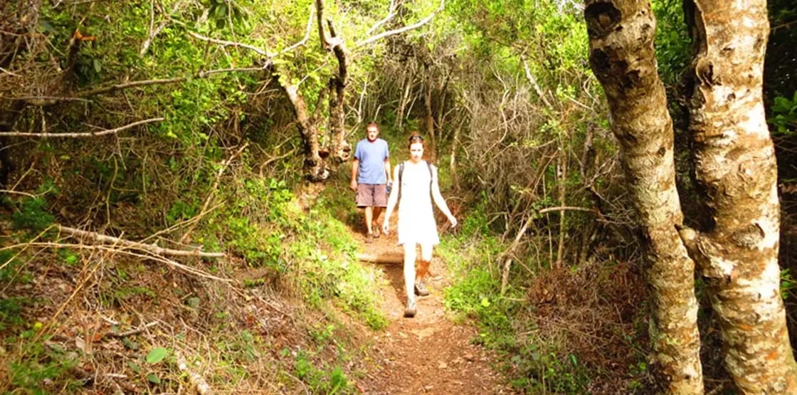 Crags to Coast Slackpacking Trail