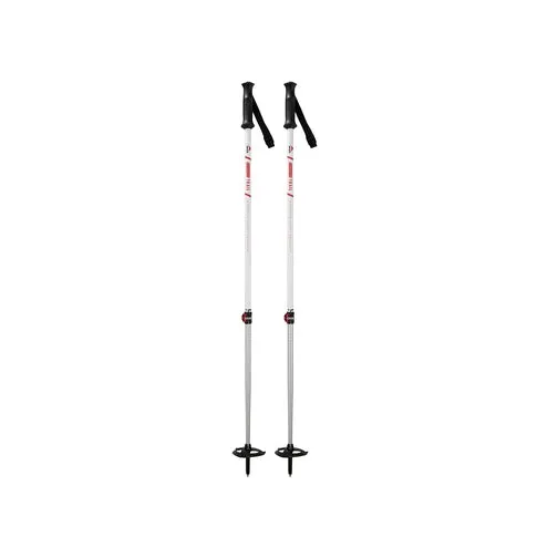 MSR DynaLock Trail Aluminum 2 Section Poles